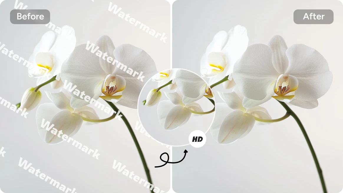 Simple and detailed areas compared during authorized watermark cleanup